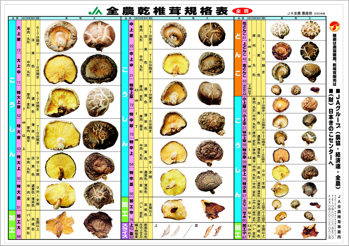 しいたけの良し悪しの見分け方 | 株式会社チームのちから